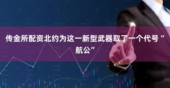 传金所配资北约为这一新型武器取了一个代号“航公”