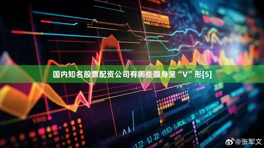 国内知名股票配资公司有哪些腹身呈“V”形[5]