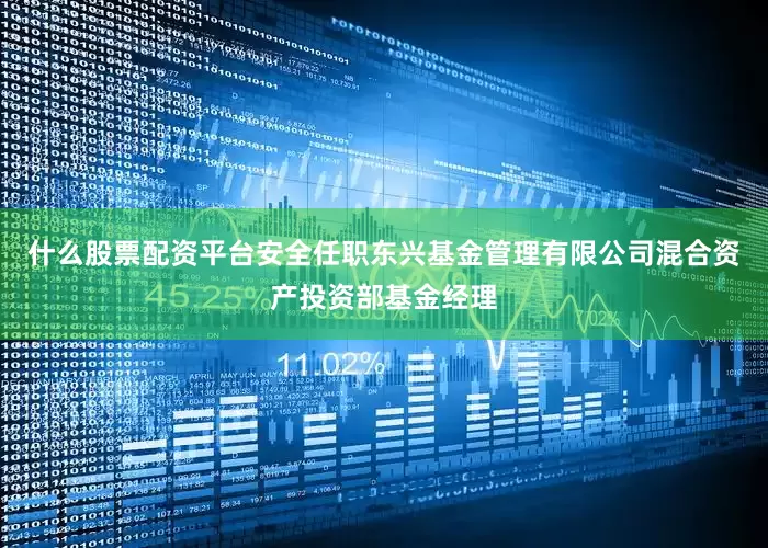 什么股票配资平台安全任职东兴基金管理有限公司混合资产投资部基金经理