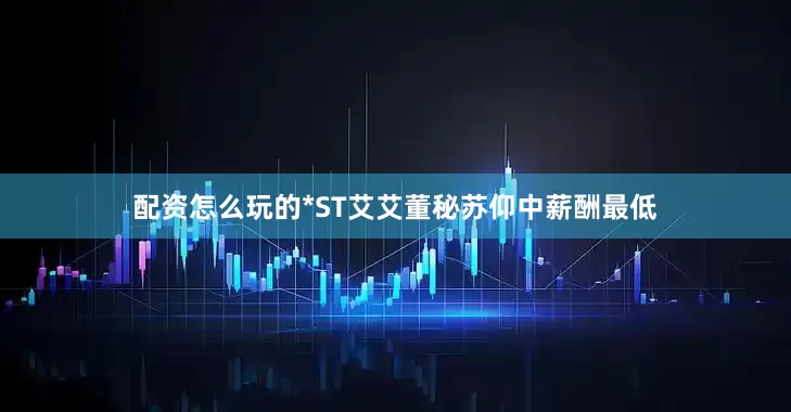 配资怎么玩的　　*ST艾艾董秘苏仰中薪酬最低