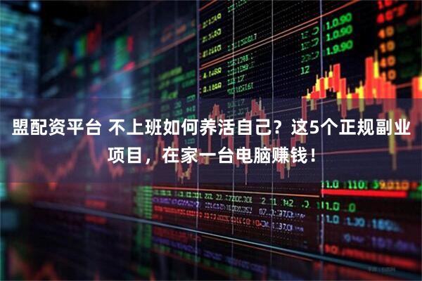 盟配资平台 不上班如何养活自己？这5个正规副业项目，在家一台电脑赚钱！