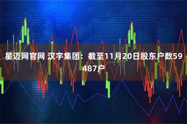 星迈网官网 汉宇集团：截至11月20日股东户数59487户